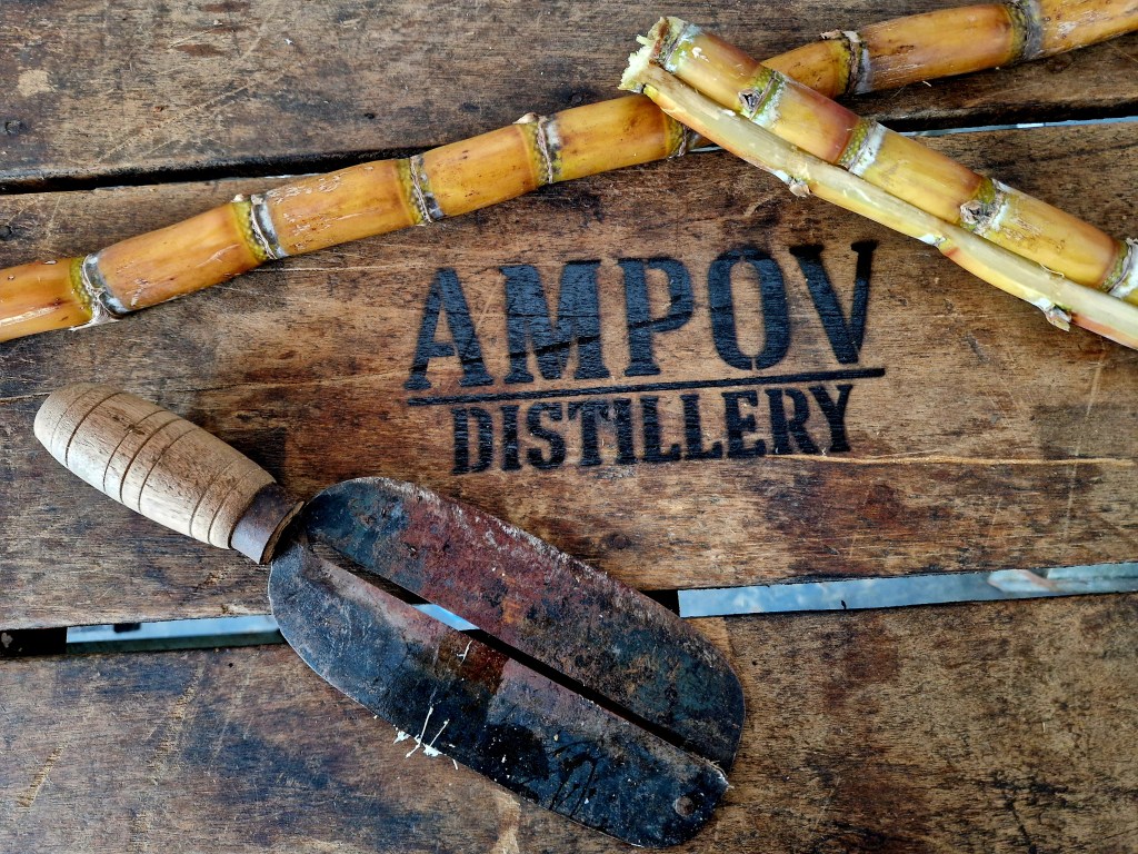 AMPOV distillerie de rhum au Cambodge